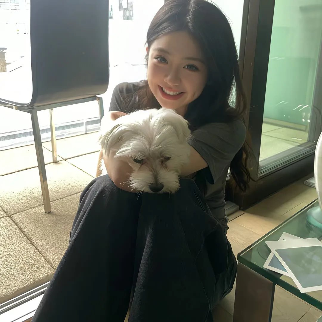 我的抗战之猎豹突击